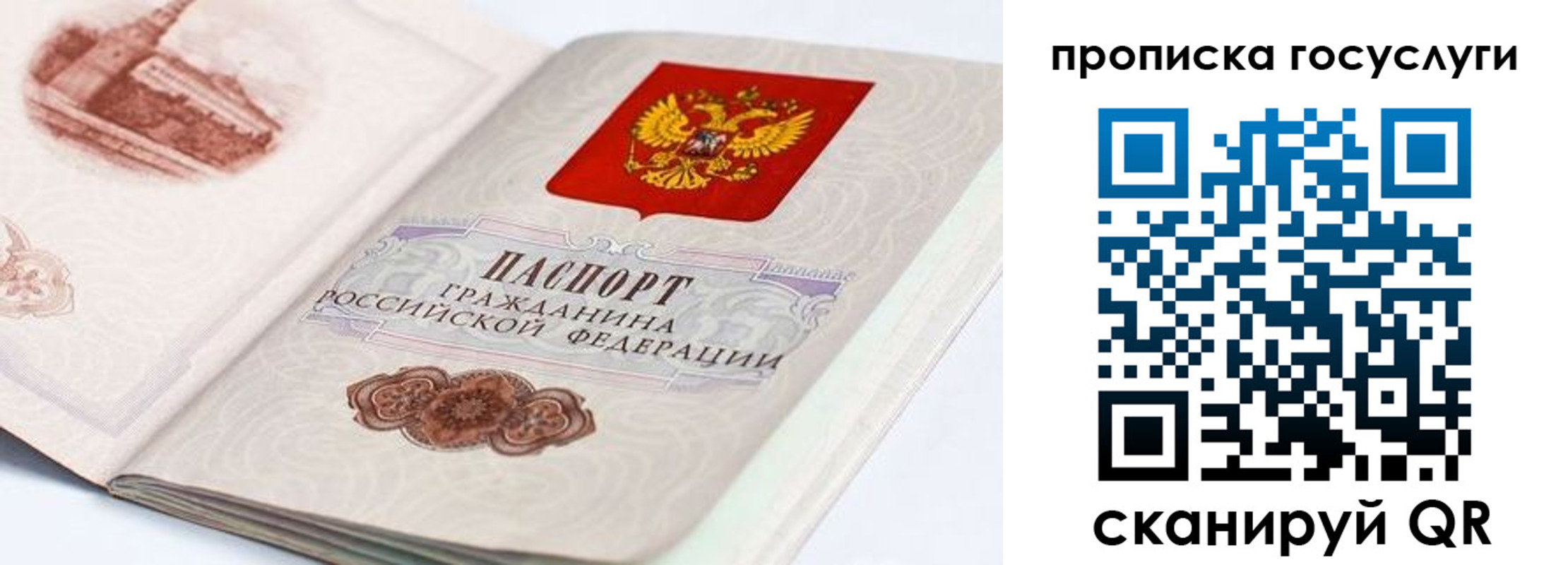 прописка гарантия в Димитровграде